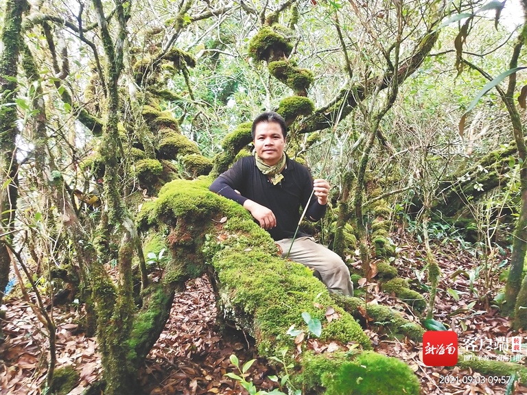 海南周刊 | 护林员王成凯十五年与鸟为伴 听声识百鸟