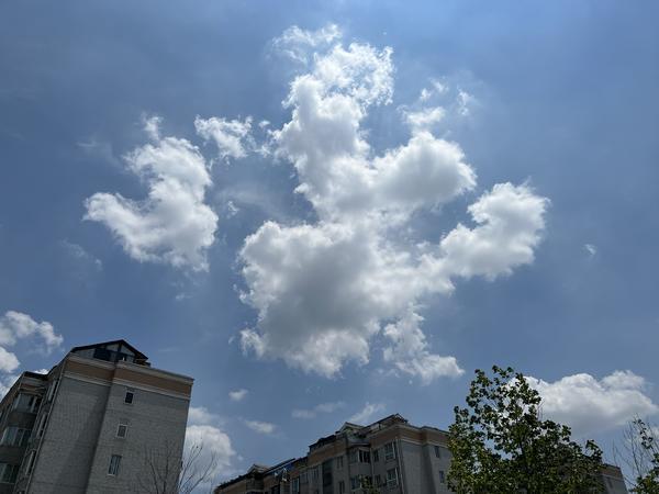 【大河网景】你“捉”到了吗？今日郑州上空奶油泡芙一般的云朵