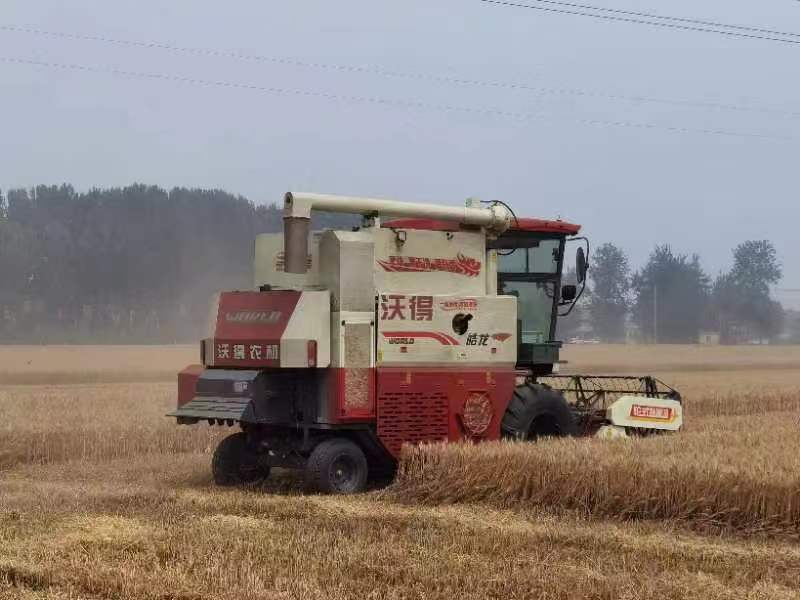 北京市“三夏”小麦机收任务过半