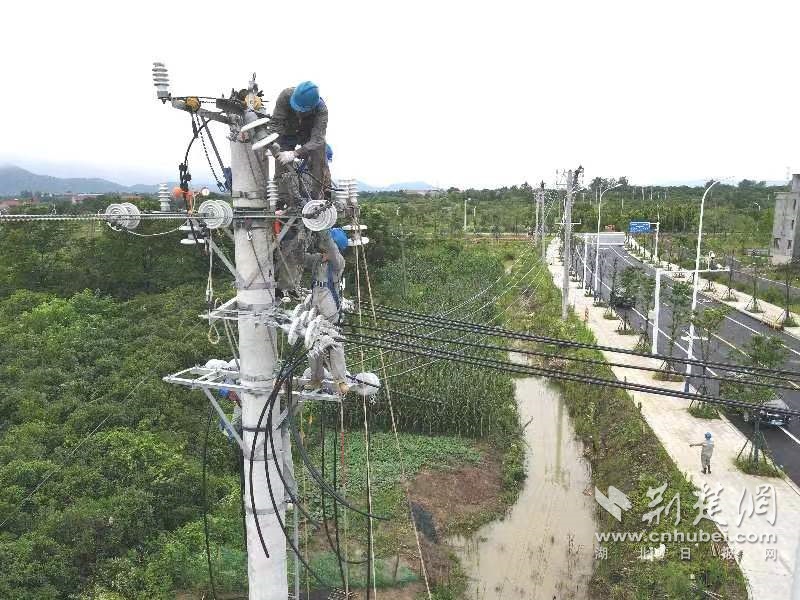 “一停多用” 蔡甸电网改造升级为乡村振兴发展赋能