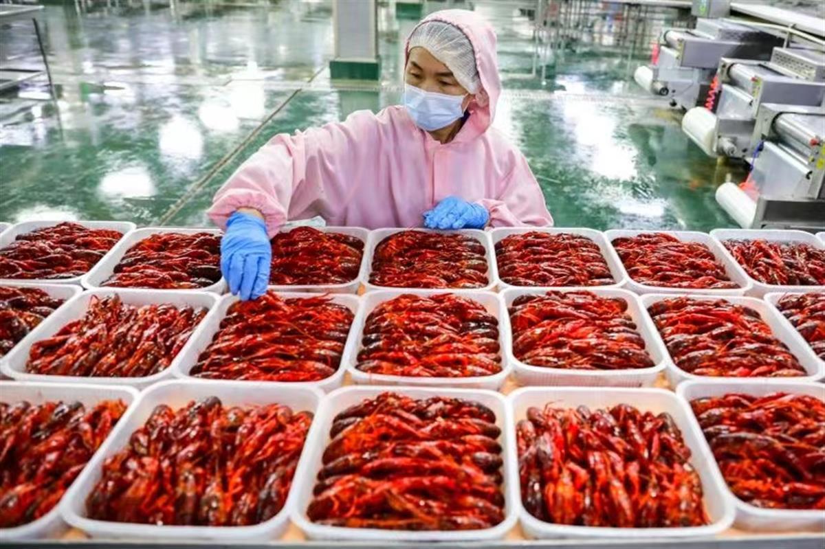 从季节性“网红”到全年“长红”  湖北小龙虾靠预制菜一红四季