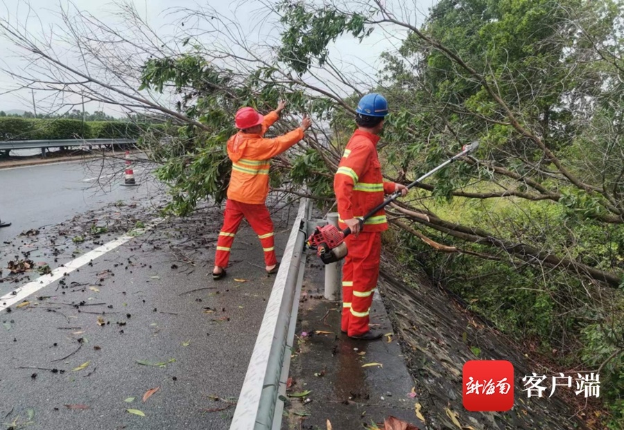 海南公路养护部门清理G98环岛高速倒伏路树
