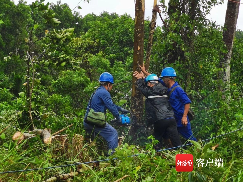 台风“暹芭”导致部分供电线路受损 海南电网已投入抢修复电