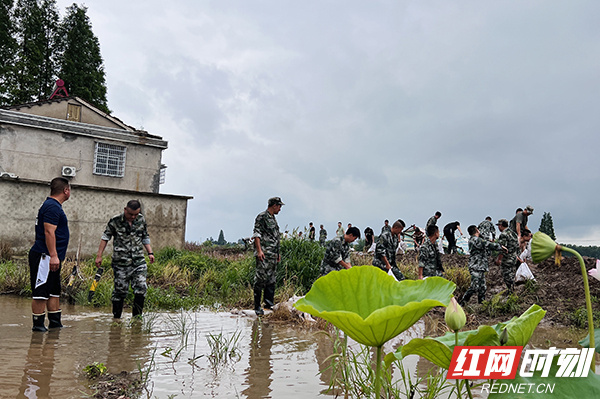 高温下奋战12小时 沅江市组织民兵圆满完成抢险任务