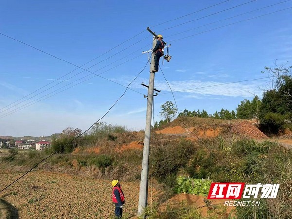 迎峰度夏丨双峰供电出动215人对2条10千伏线路集中检修
