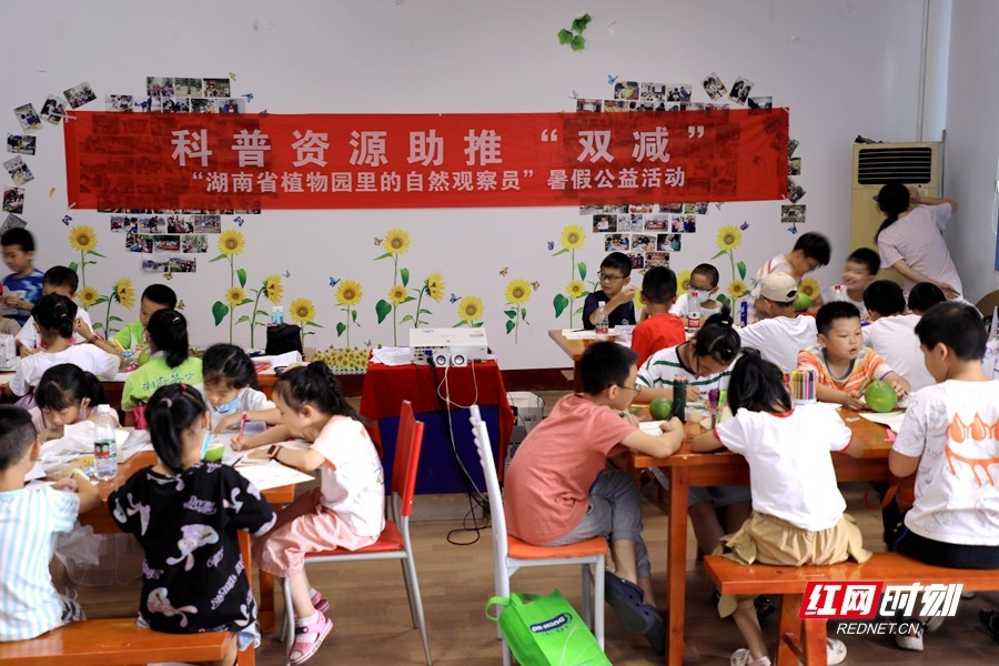 湖南省植物园开展暑假公益科普活动 木槿、荷花进入观赏期