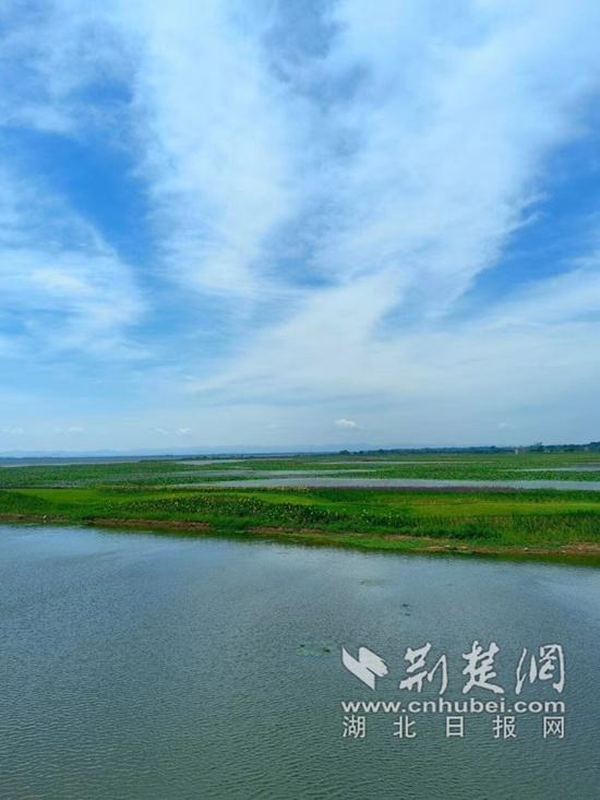 全省唯一！  咸宁市水环境治理经验面向全国推广