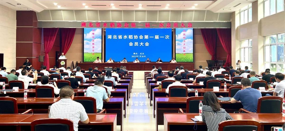 52家单位合力做强“一粒米” 湖北省水稻协会成立