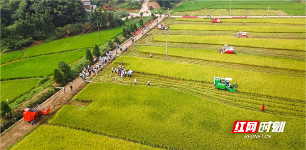 全国首次再生稻机械化装备作业效果综合测评和技术研讨会在湖南举行