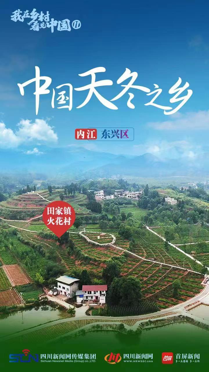【我在乡村看见中国⑪】内江：农文旅商齐发力，跨界叠加高效益