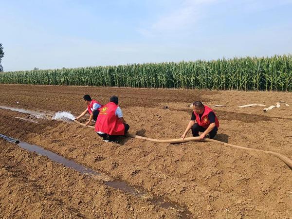 平顶山郏县：组织抗旱志愿服务队540支 帮助村民灌溉农作物16万余亩