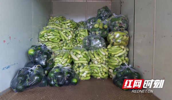 攸县：3000余斤蔬菜驰援株洲 助力疫情防控