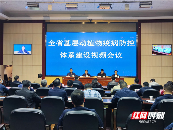湖南省基层动植物疫病防控体系建设视频会议召开