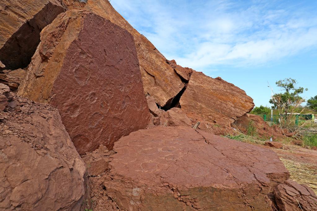 远古发现丨福建发现大面积对板保存的恐龙足迹化石