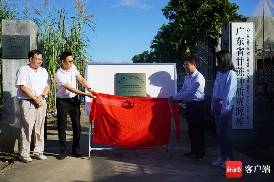 海南省甘蔗种质资源库在三亚市崖州区揭牌