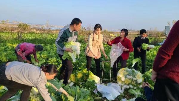 信阳市浉河区：请来“网红”帮卖菜 线上售出农产品5000余斤