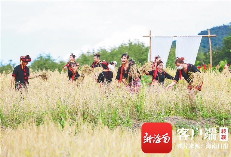 2022年白沙“啦奥门”雨林山兰文化节启幕