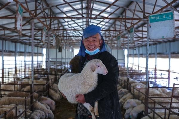 推进羊产业高质量发展！到2025年河南省羊饲养量将达6000万只