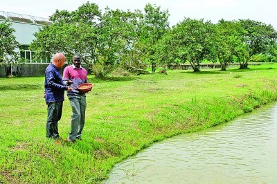 南南合作助力乌干达农业转型
