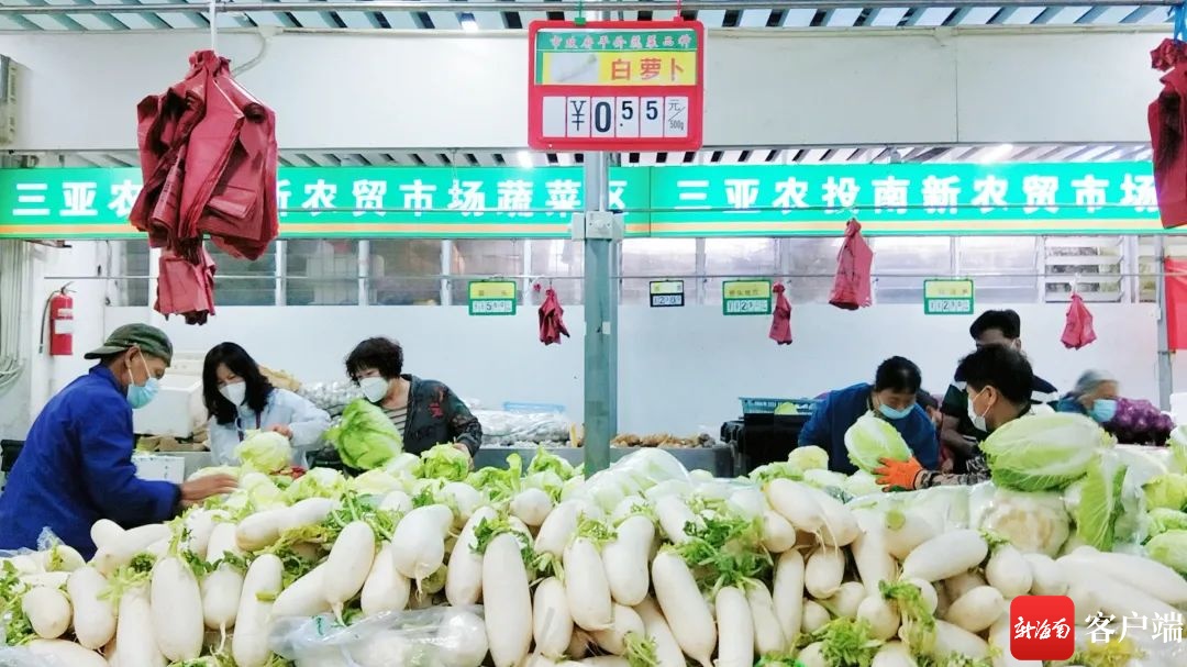 三亚储备250余吨蔬菜 保障春节“菜篮子”供应