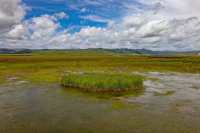 四川省第三处！色达泥拉坝湿地被新指定为国际重要湿地
