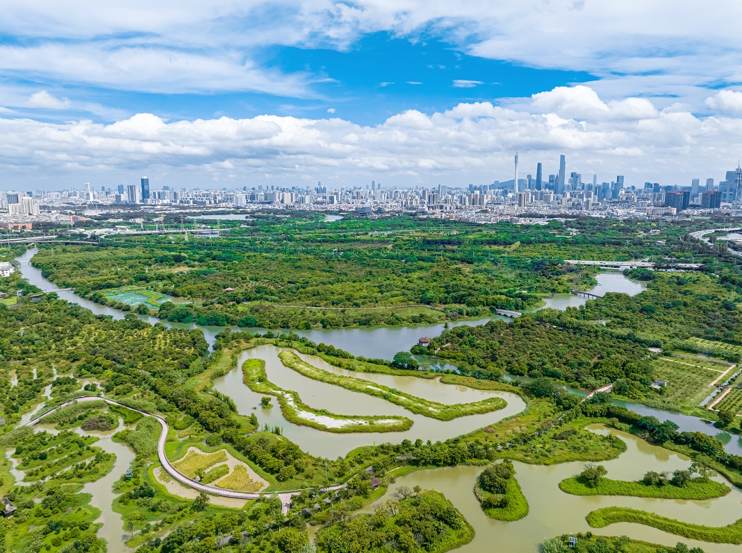 海珠湿地等广东6地新入选国际重要湿地名录！广州城市中轴线百鸟栖息