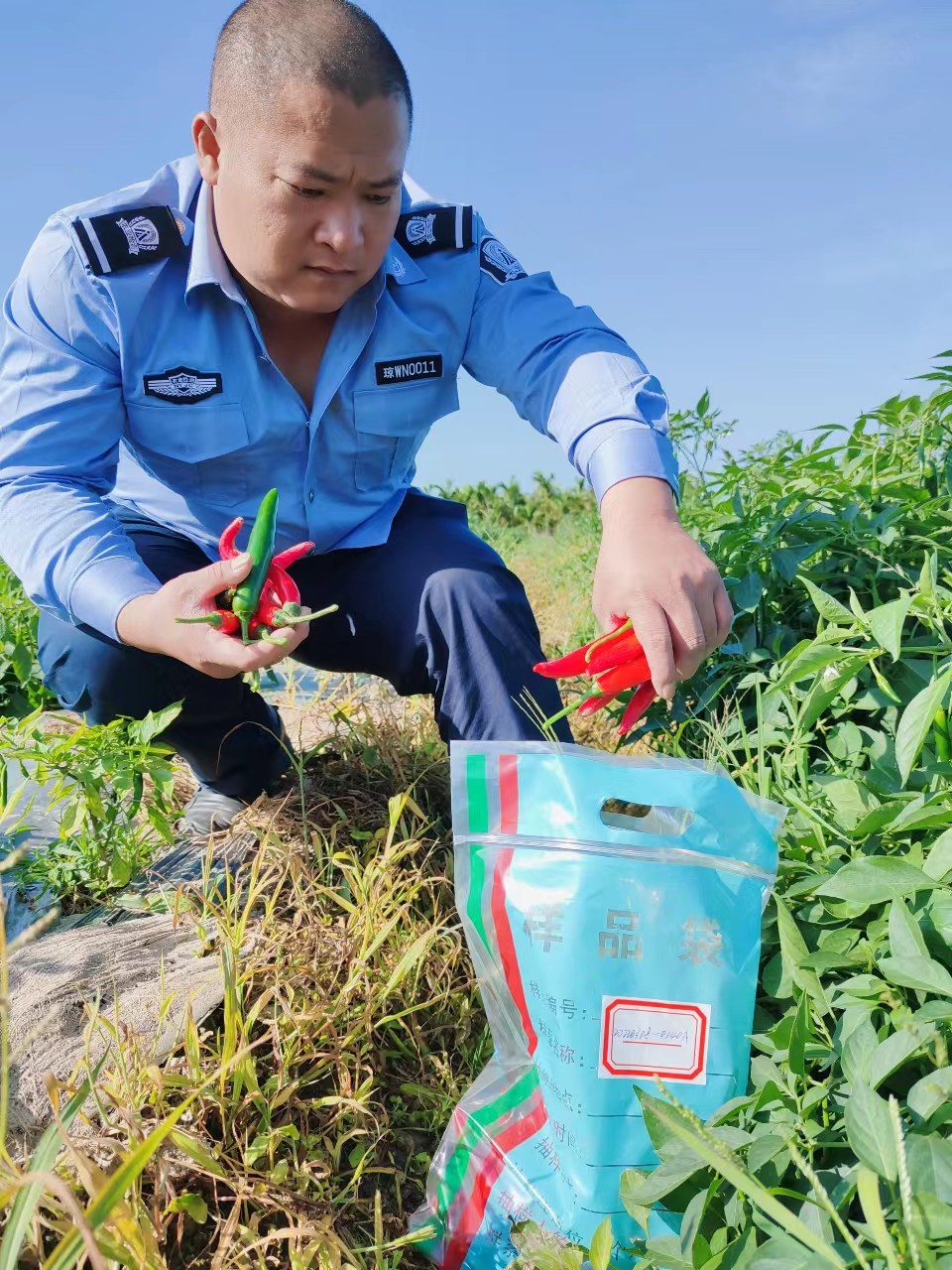 万宁：严把农产品检测关 确保上市瓜菜质量安全