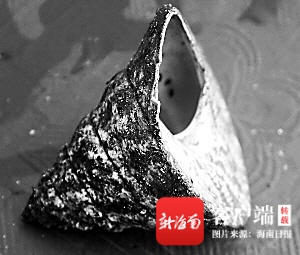 海南周刊 | 古代的螺贸易：小螺壳里有“乾坤”
