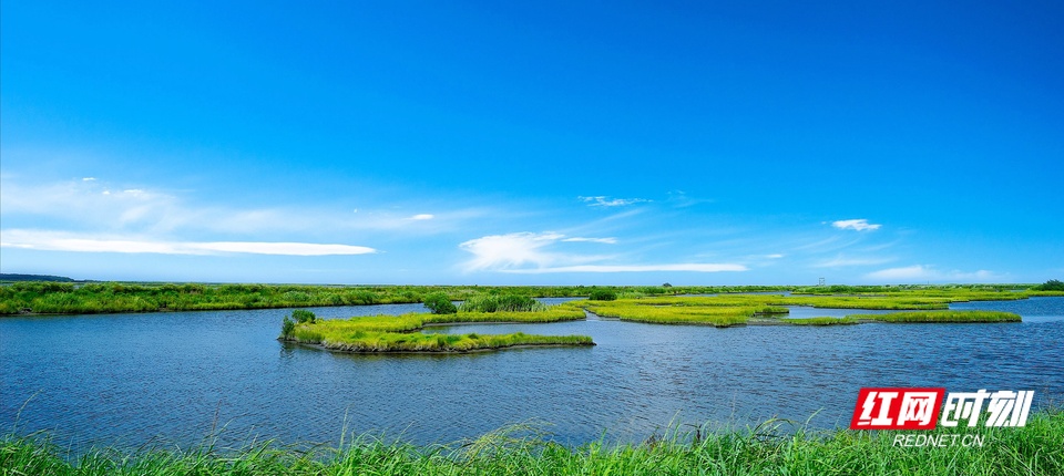 湖中洲常青，岸边绿潮涌：常德汉寿县水环境综合整治纪实