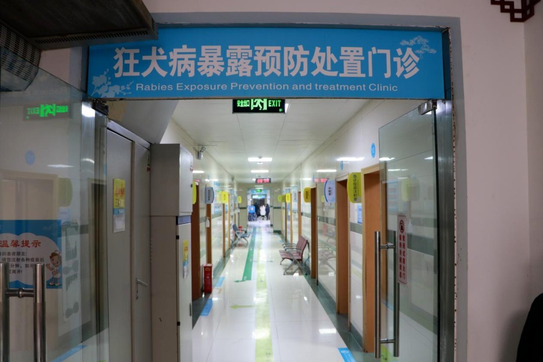 24小时接诊！郑州市六院狂犬病暴露预防处置门诊正式开诊啦！