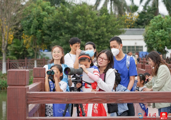 “鸟节”“爱鸟周”启动，广州多个公园可参与趣味科普活动！