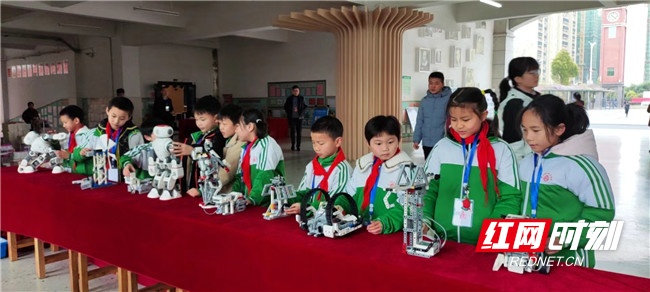 湖南祁东：在孩子心中播下科技创新的种子