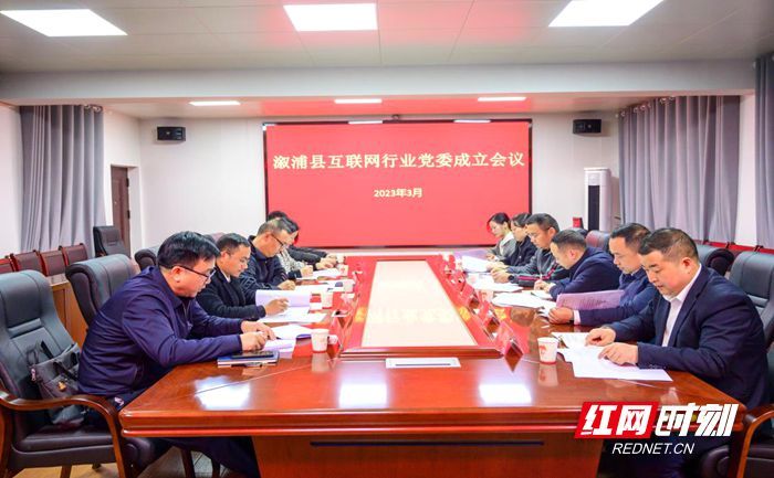 溆浦县互联网行业党委正式成立