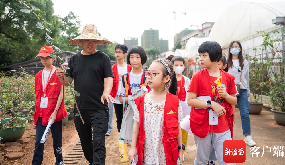 南国小记者走进三角梅花卉基地 探秘植物扦插技艺