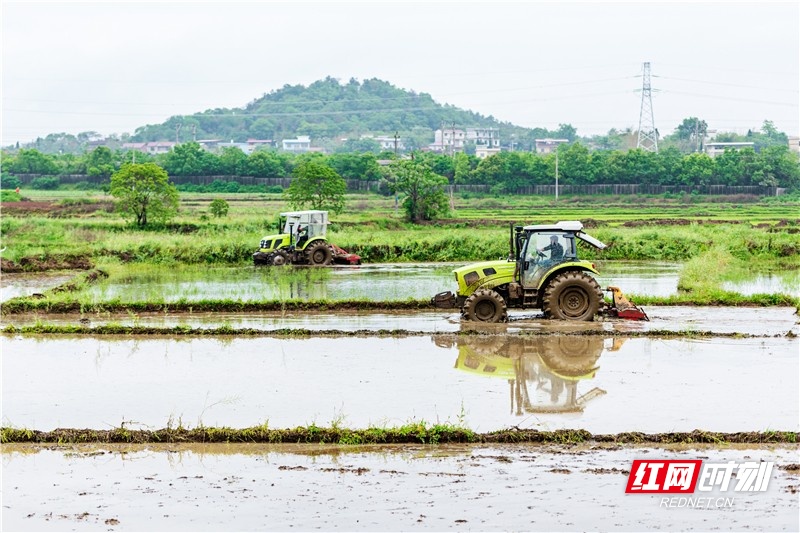 永州东安：谷雨到 农事忙
