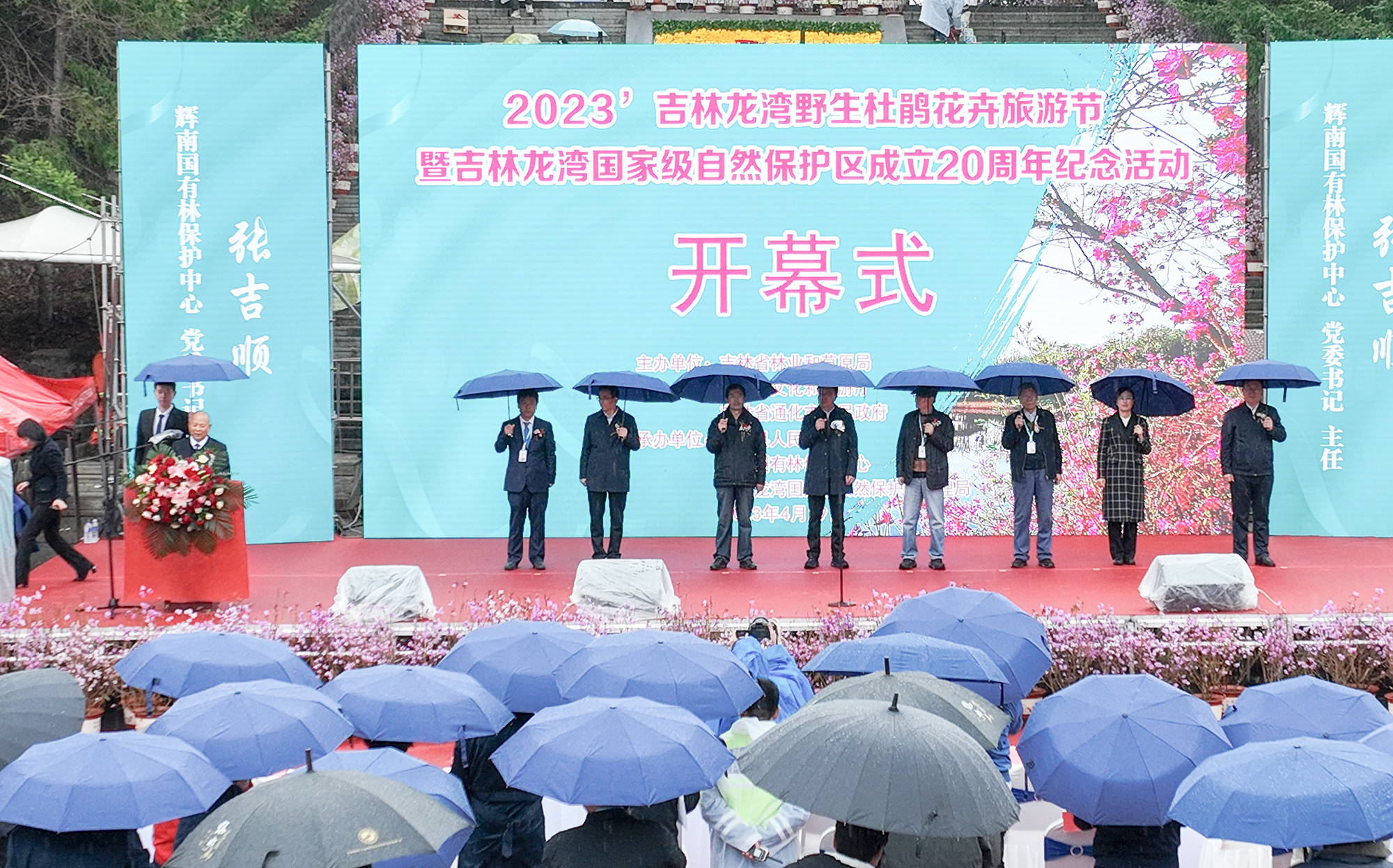 吉林龙湾野生杜鹃花卉旅游节启幕