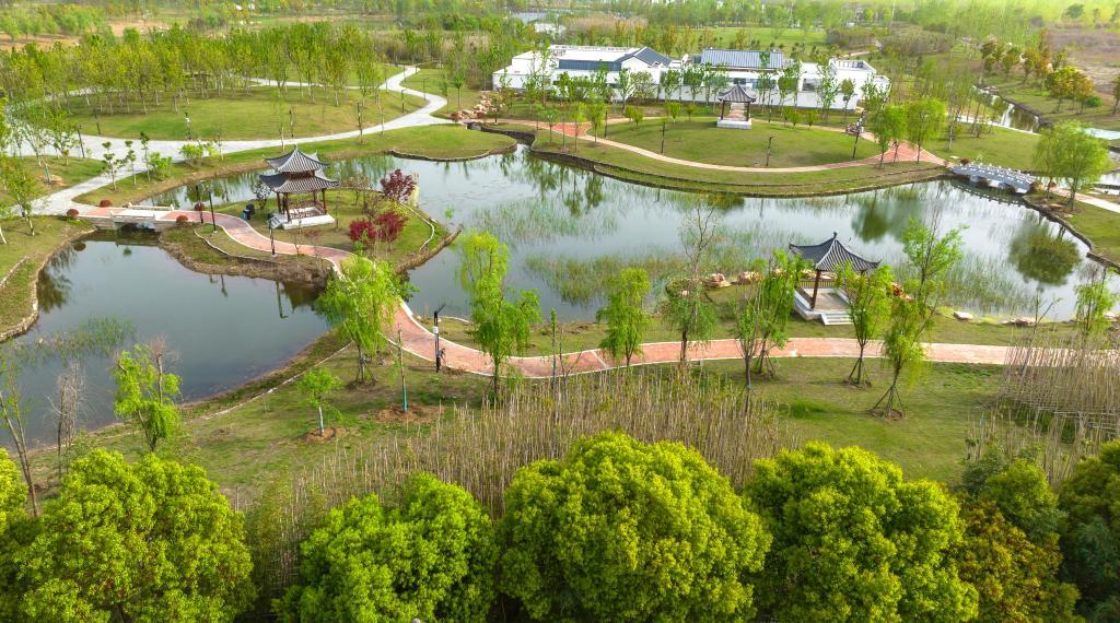 新华全媒+｜湖北襄阳：家门口的生态公园成假期里的“香饽饽”