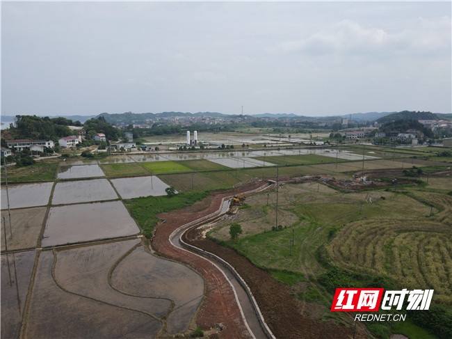 “地”气十足！衡东县全力推进高标准农田建设