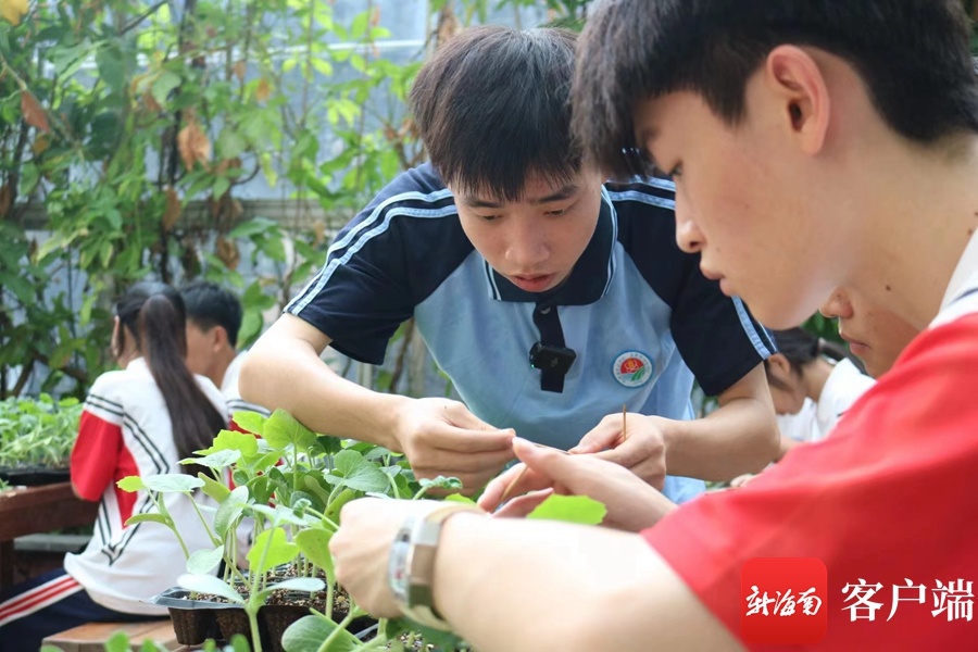 闯出精彩·自贸港的年轻人 | 海南省农校学生符美满：争当“自找苦吃”的新农人