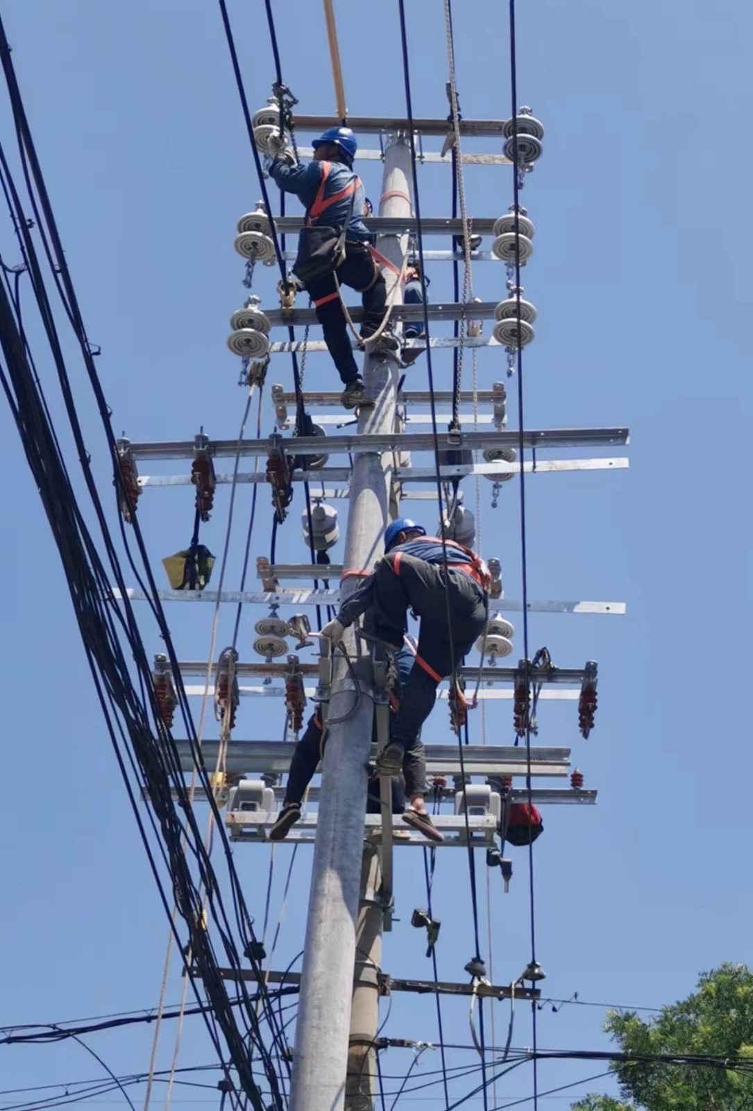 6月1日起，河南省电网输配电价调整