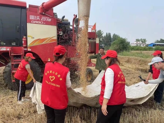 收麦子、抢农时 唐河县“三夏”服务志愿者在行动