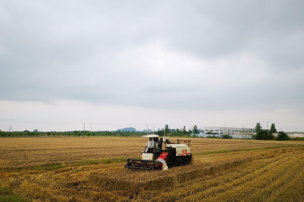 护航“三夏”丨息县：全力做好麦收机械保障