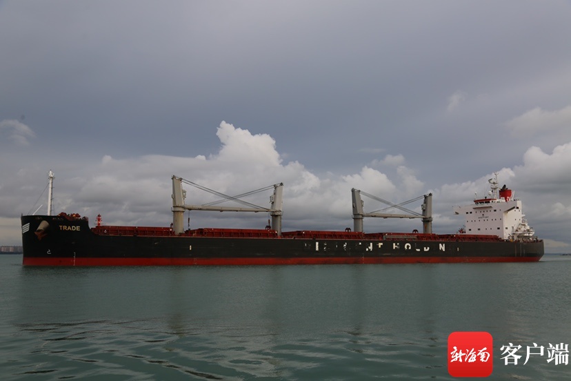 洋浦迎来首艘载运4.3万吨进口粮食外籍船舶 洋浦边检站助其高效通关