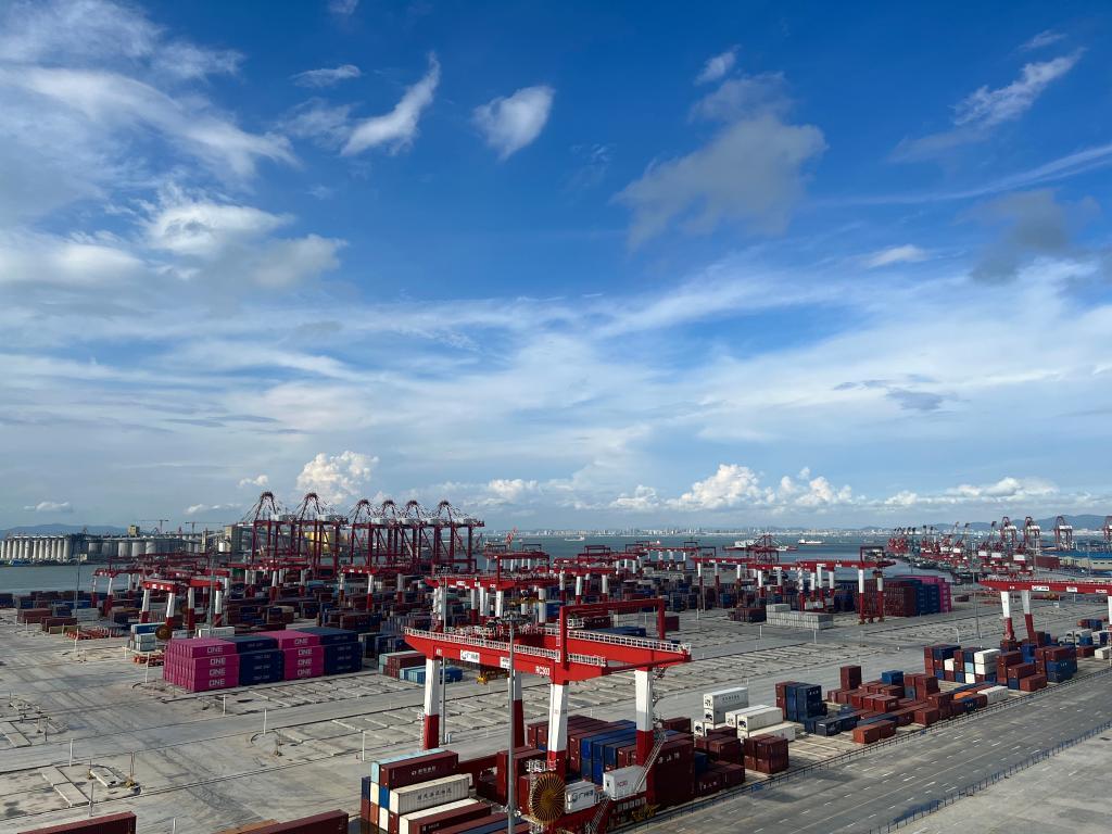 高质量发展调研行丨在智慧港口见证大湾区经济活力——广州南沙港走访一线见闻