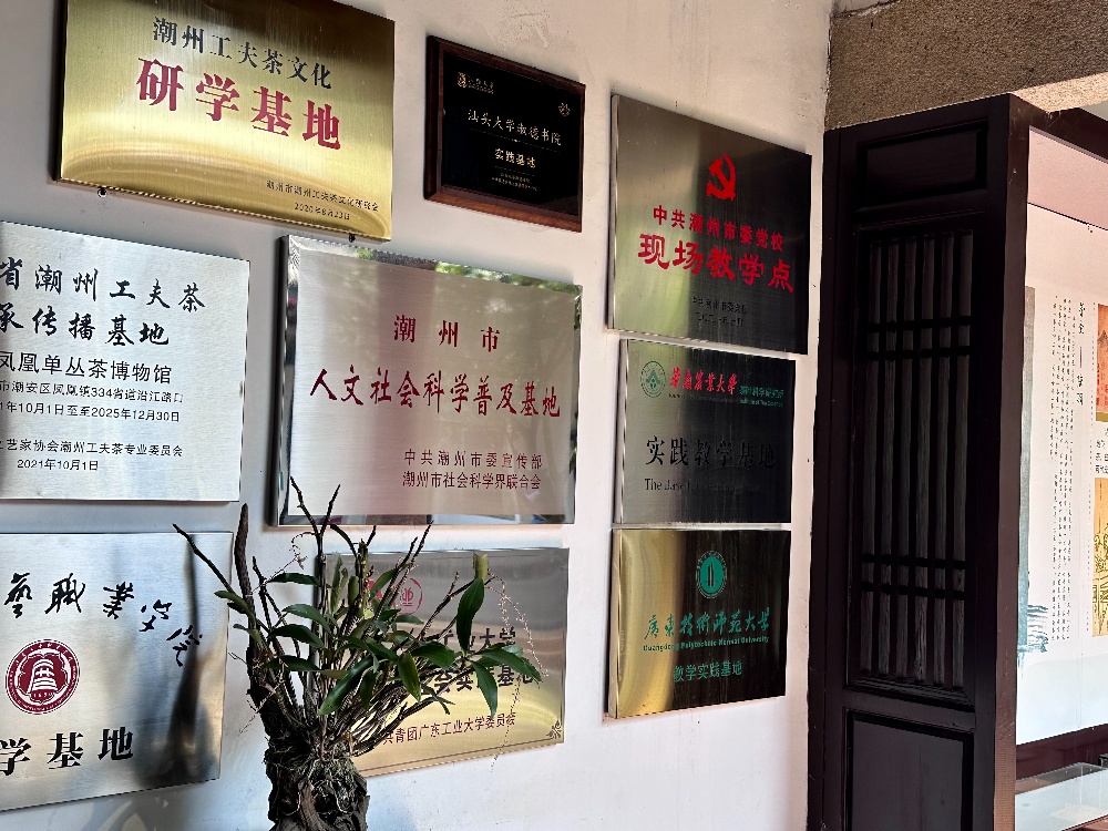来潮州凤凰单丛茶博物馆，感受700年“茶王”的一呼一吸