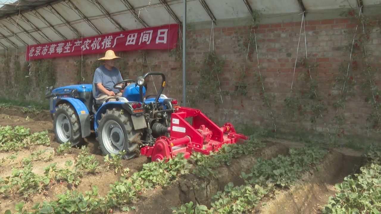 ​农机推广“田间日” 助力草莓、西瓜机械化生产