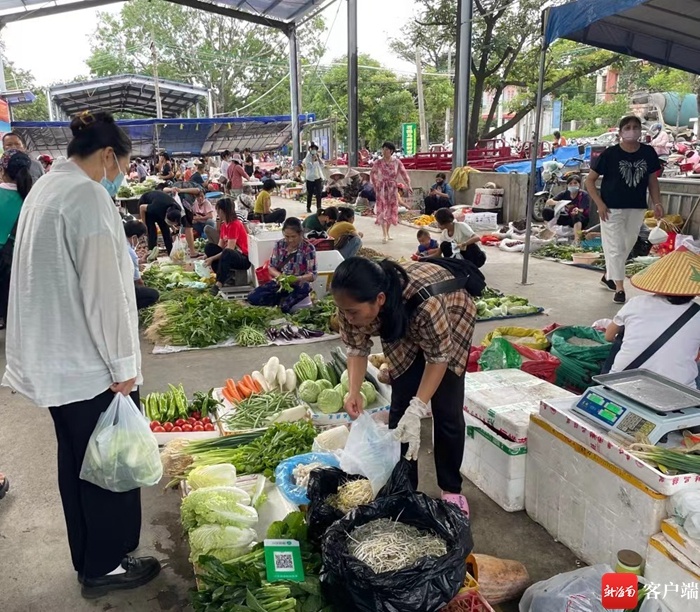 文明海南 | 昌江这个临时马路市场让流动摊贩有了“家”