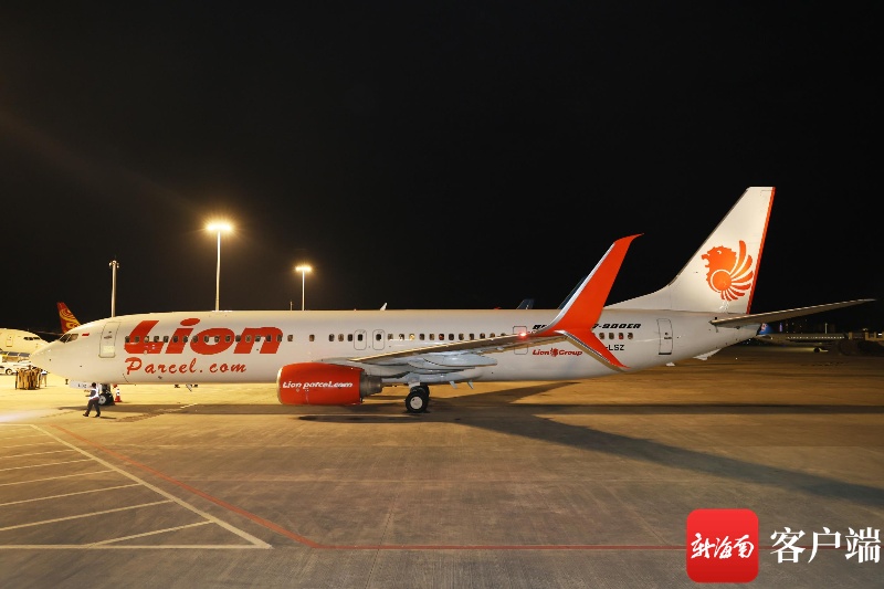 飞机场的飞机 202402271016079146.jpg