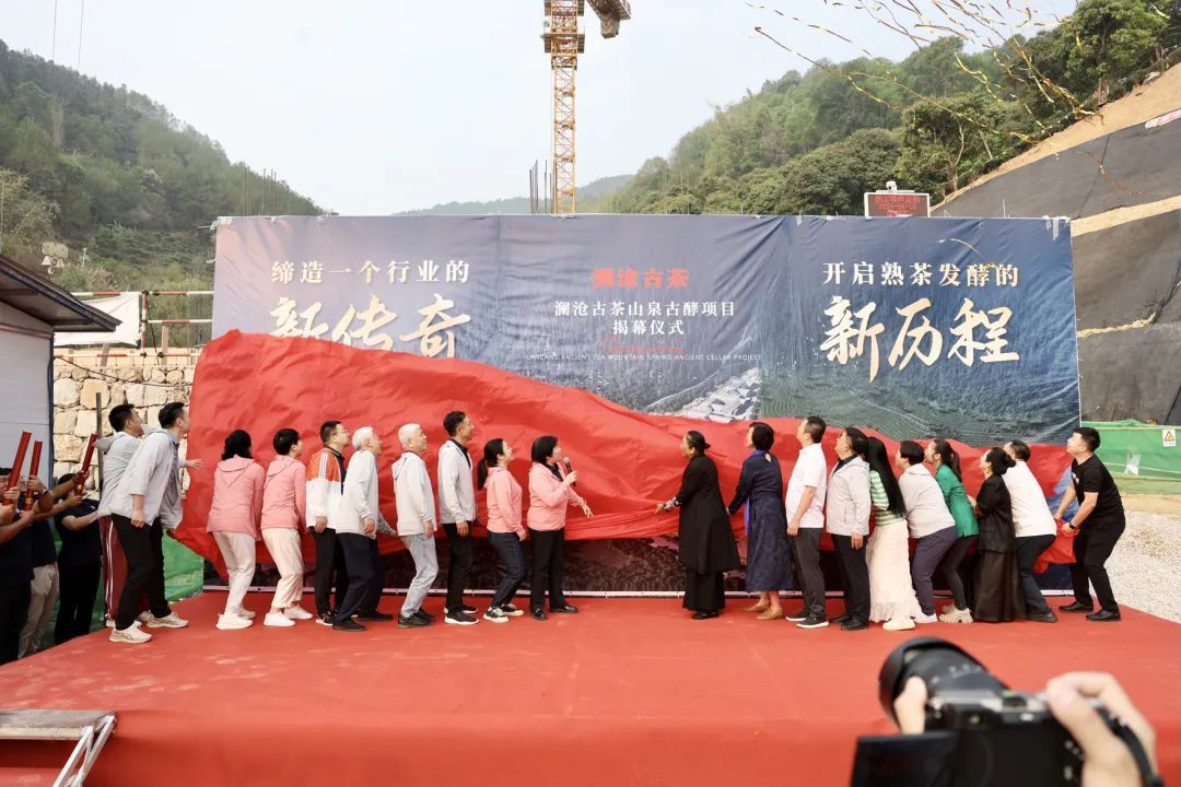 澜沧古茶运营中心,澜沧古茶属于什么档次的茶