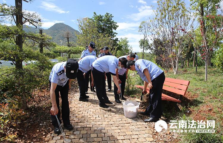 大理州公安局到双廊村展开“三干净”行径和环保司法传扬(图2)